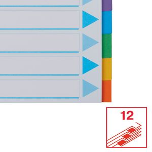 Picture 1 of Tabbladen Esselte Standaard A4 12-delig karton 11-rings met voorblad assorti