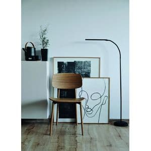 Picture 3 of Vloerlamp MAUL Pirro LED dimbaar zwart