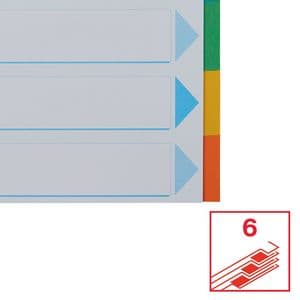 Picture 1 of Tabbladen Esselte Standaard A4 6-delig karton 11-rings met voorblad assorti