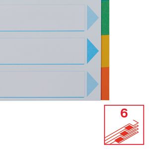 Picture 1 of Tabbladen Esselte Standaard A4 6-delig karton 11-rings met voorblad assorti