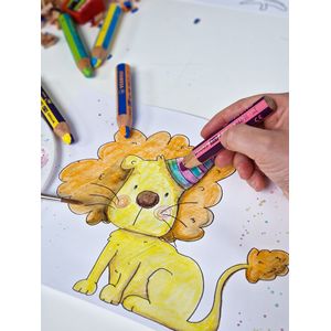 Picture 4 of Kleurpotloden STABILO 882 woody 3 in 1 duo inclusief puntenslijper assorti etui 5 à stuks