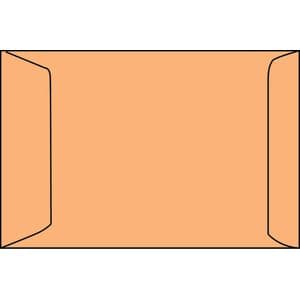 Picture 1 of Envelop Quantore akte EB4 262x371mm bruinkraft 250 stuks