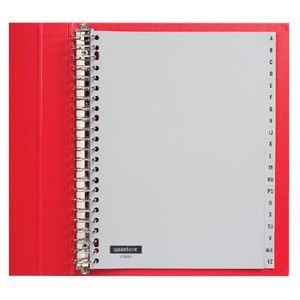 Picture 2 of Tabbladen Quantore 23-gaats 20-delig met alfabet grijs PP