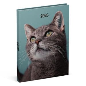 Picture 1 of Agenda 2026 Lannoo 110x150 My favourite friends 7dagen/2pagina's cats