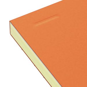 Picture 5 of Cursusblok Oxford Orange Notepad A4+ lijn 4-gaats 160 pagina's 80gr oranje