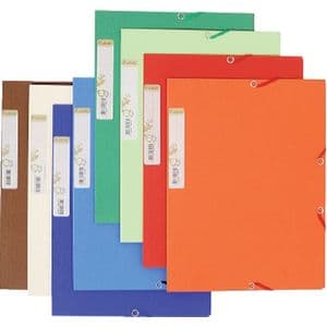 Picture 1 of Elastomap Exacompta Forever A4 3 kleppen 380gr assorti
