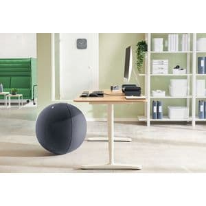 Picture 6 of Actieve zitbal Leitz Ergo 75cm anti-rol donkergrijs