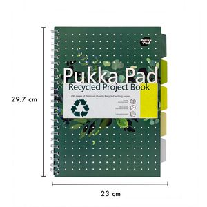 Picture 3 of Projectboek Pukka Pad Recycled A4 lijn 5-tabs 4-gaats 200 pagina's 80gr groen