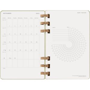 Picture 9 of Agenda 2025/2026 Moleskine 12M Academic Weekly 7d/1p Myrtle large kiwi