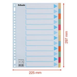 Picture 2 of Tabbladen Esselte Premium A4 12-delig karton 23-rings assorti