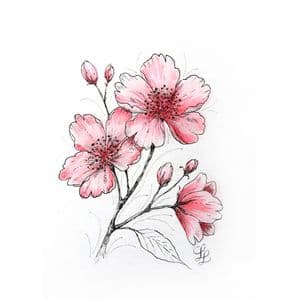 Picture 3 of Tekenset Sakura Creative Kit Cherry Blossom 6 stuks