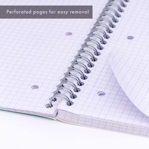 Picture 5 of Collegeblok Pukka Pad Jotta A4 ruit 5x5mm 4-gaats 200 pagina's 80gr groen