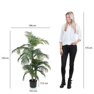 Picture 5 of Kunstplant Mica Areca palm in plastic pot 150x100cm