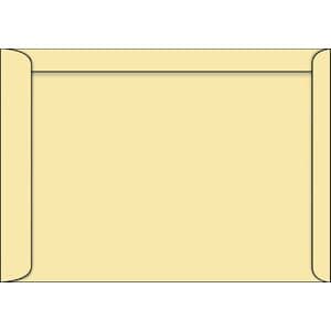 Picture 3 of Envelop Quantore akte EB4 262x371mm cremekraft 250 stuks