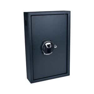 Picture 3 of Sleutelkast Pavo high security met fingerprintslot 50 haken 550x400x100mm