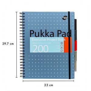 Picture 3 of Projectboek Pukka Pad Metallic Executive A4 lijn 5-tabs 4-gaats 200 pagina's 80gr assorti