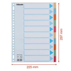 Picture 3 of Tabbladen Esselte Premium A4 10-delig karton 23-rings assorti