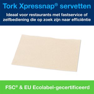 Picture 5 of Servet Tork N4 Xpressnap Premium 1/2 vouw 2-laags 213x165mm 1000 vel naturel 12880