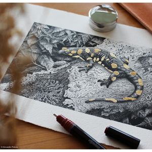 Picture 7 of Tekenset rOtring Isograph college 0.2mm, 0.3mm en 0.5mm set à 3 stuks