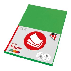 Picture 1 of Kopieerpapier Quantore Colour A4 120gr grasgroen 100 vel