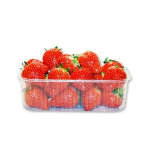 Picture 4 of Fruitbak 11.5cm x 18.7cm x 5.8cm 500gr transparant