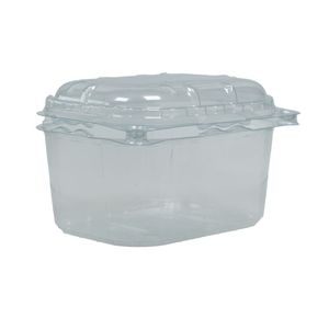 Picture 1 of Fruitbak met vast deksel 9.5cm x 12.4cm x 7.6cm 250gr transparant