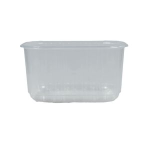 Picture 3 of Fruitbak 12.1cm x 14.5cm x 7.5cm 500gr transparant