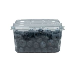 Picture 4 of Fruitbak met vast deksel 9.5cm x 12.4cm x 7.6cm 250gr transparant