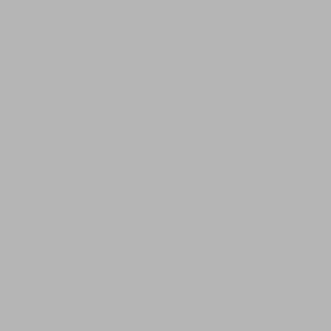 Picture 1 of Cadeaupapier 50cm x 200m zilver 5024