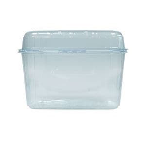 Picture 3 of Fruitbak met vast deksel 11.4cm x 18.8cm x 13.5cm 1000gr transparant