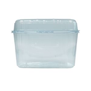 Picture 3 of Fruitbak met vast deksel 11.4cm x 18.8cm x 13.5cm 1000gr transparant