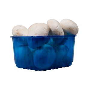 Picture 5 of Fruitbak 12.1cm x 14.5cm x 7.5cm 500gr blauw