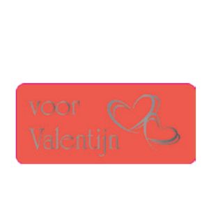 Picture 1 of Cadeau etiket rechthoek 45x20 mm mat rood opdruk valentijn metallic zilver