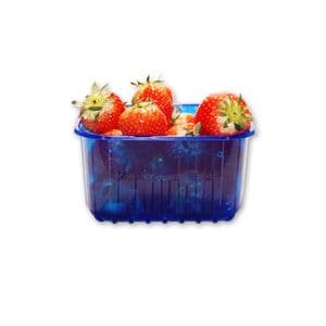 Picture 8 of Fruitbak 12.1cm x 14.5cm x 7.5cm 500gr blauw