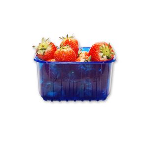 Picture 4 of Fruitbak 12.1cm x 14.5cm x 7.5cm 500gr blauw