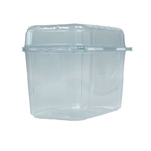 Picture 1 of Fruitbak met vast deksel 11.4cm x 18.8cm x 13.5cm 1000gr transparant
