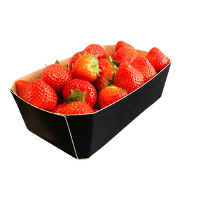 Picture 1 of Fruitbak karton 9.2cm x 16.5cm x 5.5cm 500gr zwart