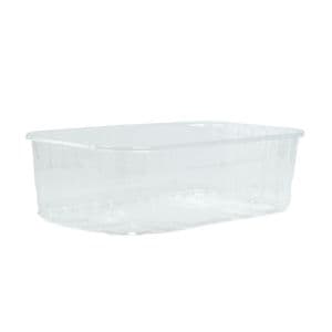 Picture 1 of Fruitbak 11.5cm x 18.7cm x 5.8cm 500gr transparant