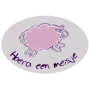 Picture 1 of Cadeau etiket ovaal glans wit opdruk hoera een meisje roze