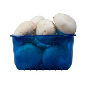 Picture 6 of Fruitbak 12.1cm x 14.5cm x 7.5cm 500gr blauw