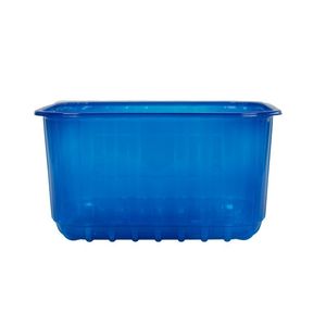 Picture 2 of Fruitbak 12.1cm x 14.5cm x 7.5cm 500gr blauw